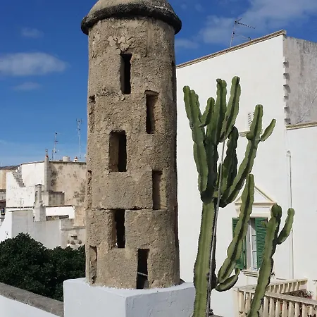 Corte Moline-3